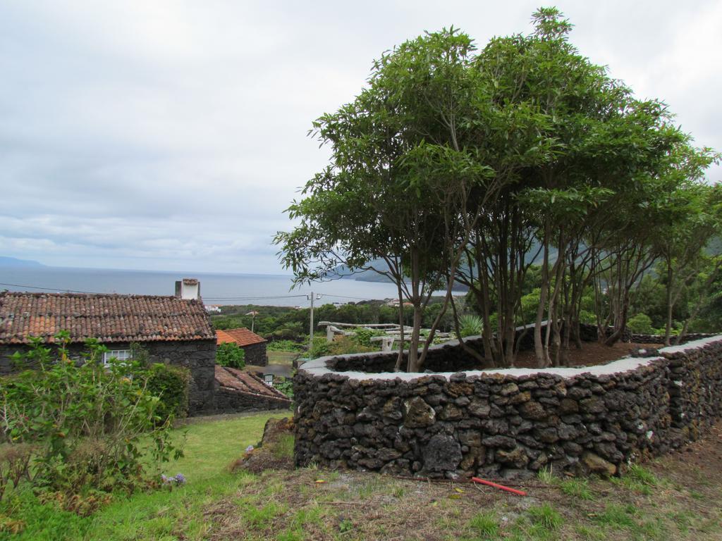 Casas De Campo Housesinpico Prainha  Extérieur photo