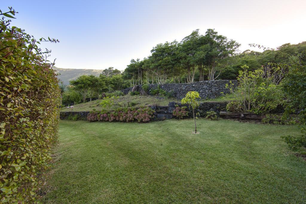 Casas De Campo Housesinpico Prainha  Extérieur photo